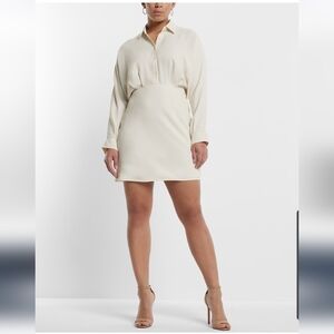 Express NWTs Collared Half Button Up Mini Portofino Shirt Dress